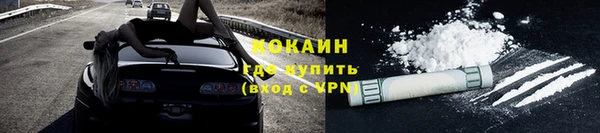 гидра Михайловка