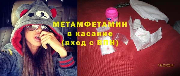прущие грибы Михайловск