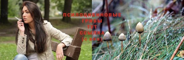 амф Алексин
