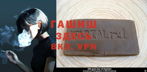 гашик Алагир